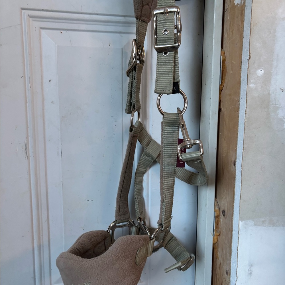 Lemieux Halter